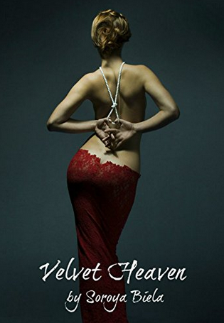 The cover of Velvet Heaven.