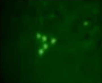 Image of a green triangle-like object in the night sky.